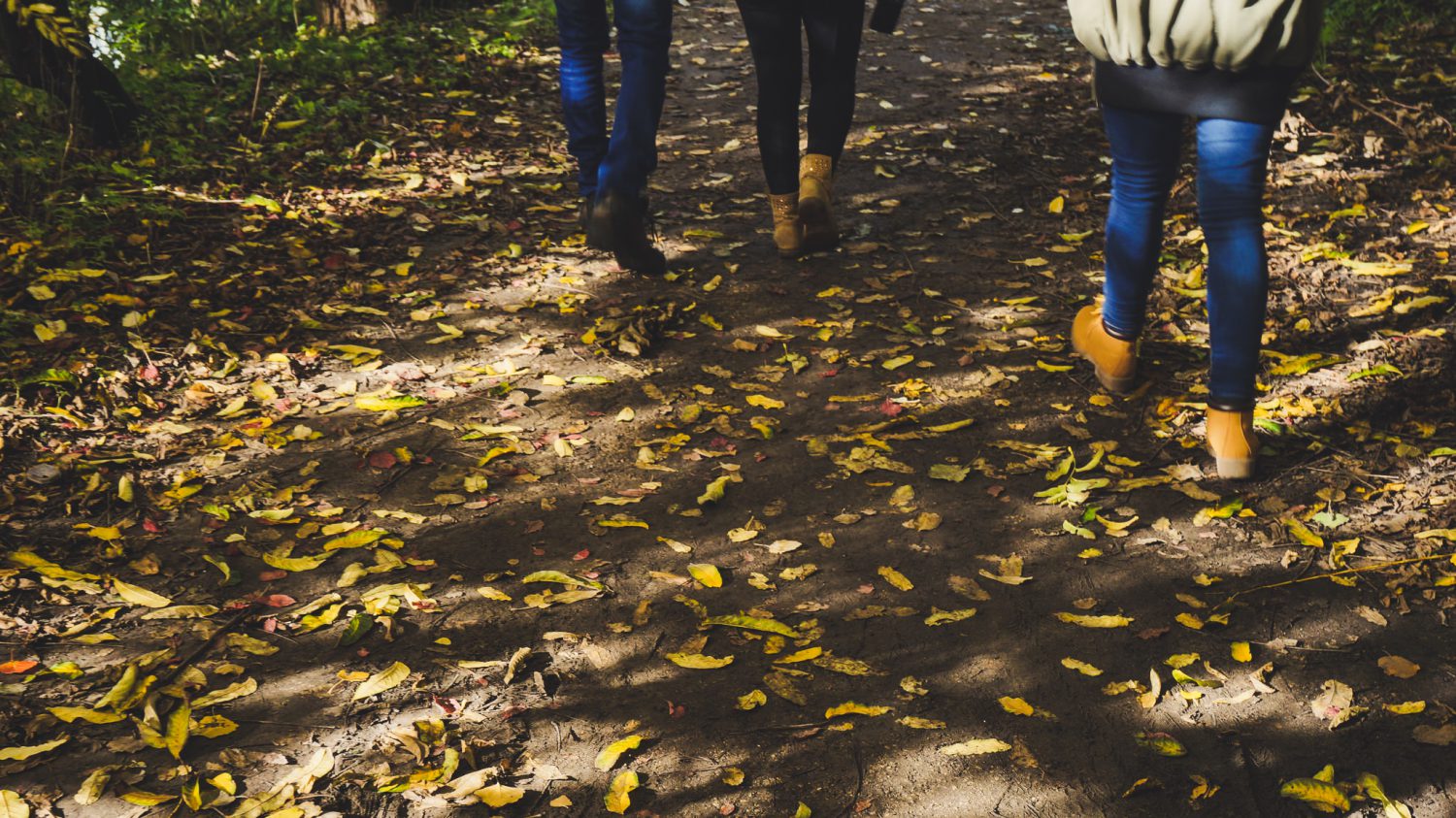 Amsterdão em 5 dias - Clever