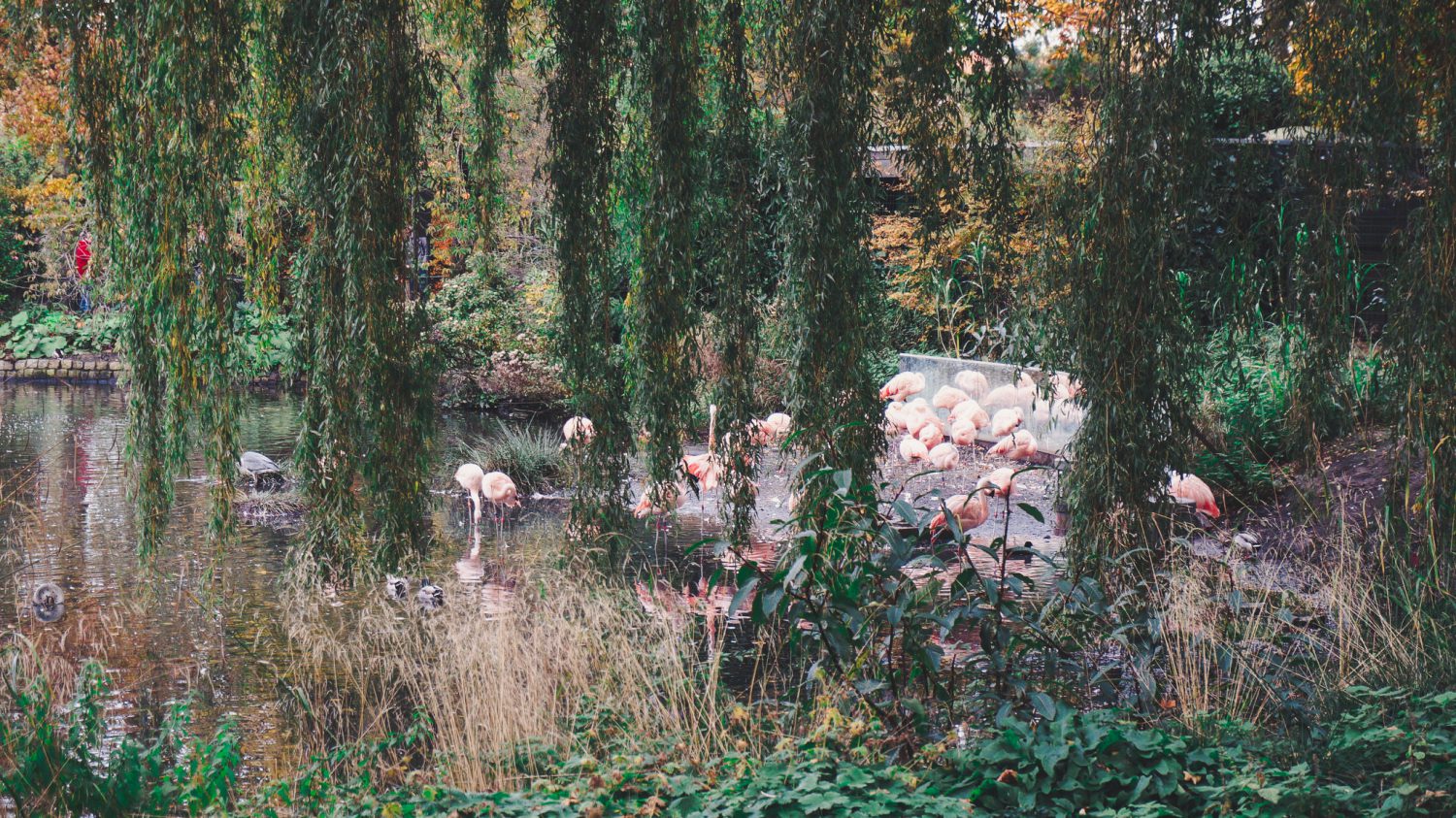 Amsterdão em 5 dias - Clever