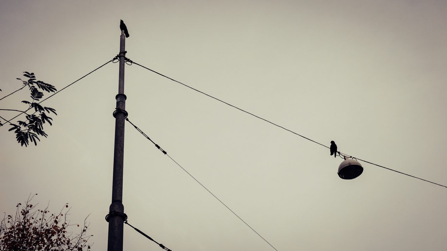 Amsterdão em 5 dias - Clever